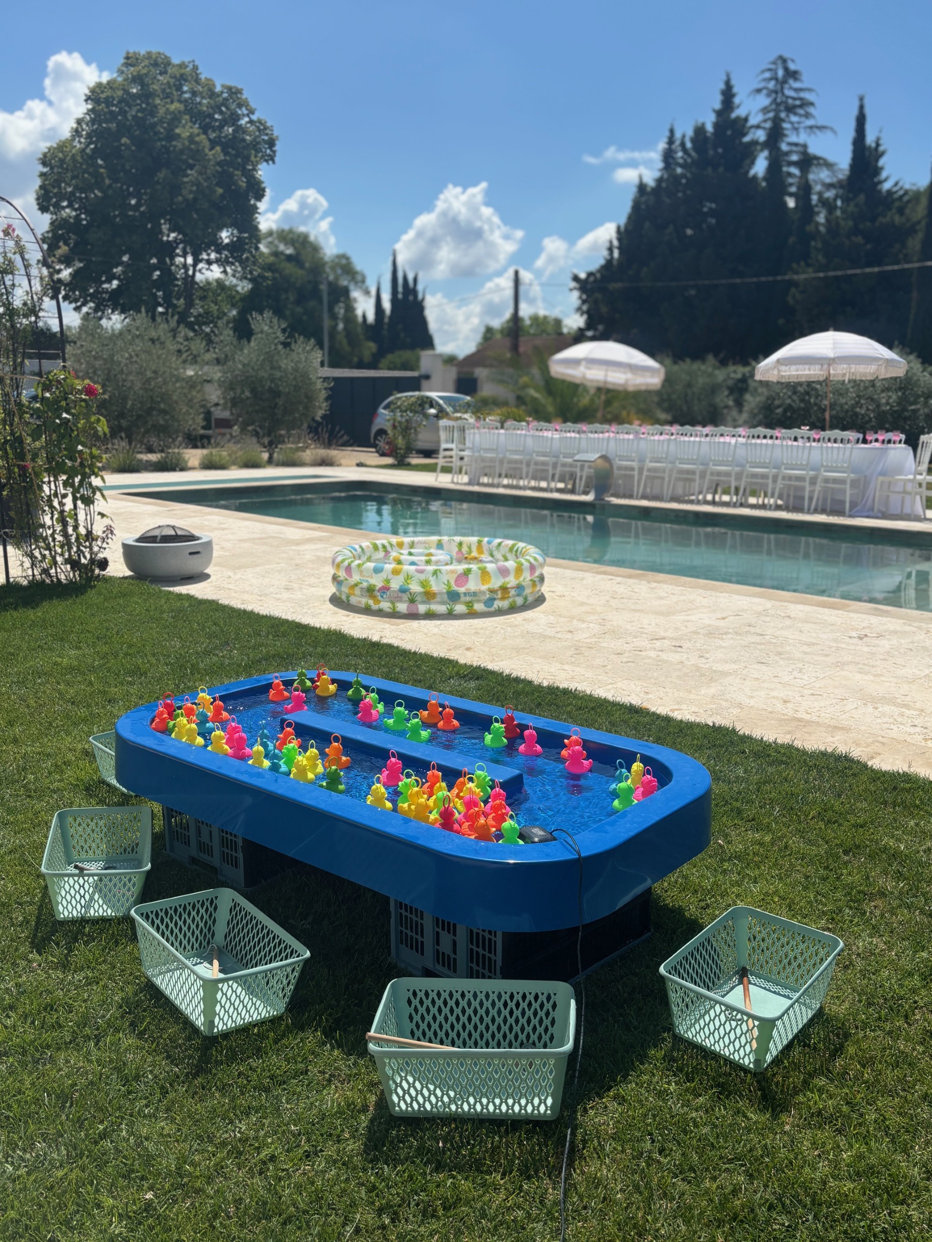 PĂȘche aux canards